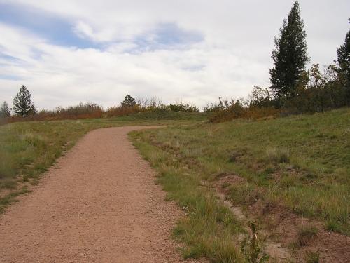 A winding dirt path leading through a grassy area with sparse trees and scattered shrubs under a partly cloudy sky. Blodgett mountain bike trail.