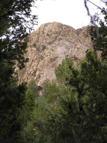 Rocky cliffside rising above dense green trees, with a cloudy sky in the background. Blodgett mountain bike trail.