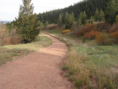 A winding dirt path surrounded by greenery and trees, leading through a natural landscape with autumn-colored foliage in the background. Blodgett mountain bike trail.