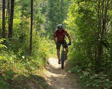 A mountain biker navigating a narrow dirt trail surrounded by lush green vegetation and trees. The rider, wearing a helmet and a red backpack, is focused on the path ahead. Tsali Left Loop mountain bike trail.