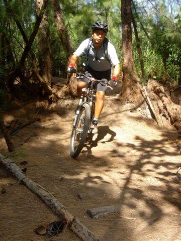 A person riding a mountain bike on a wooded trail, surrounded by tall trees and natural foliage. The cyclist is wearing a helmet and cycling attire, focused on navigating the uneven terrain. Sunlight filters through the branches, creating dappled light on the ground. Oleta River State Park mountain bike trail.