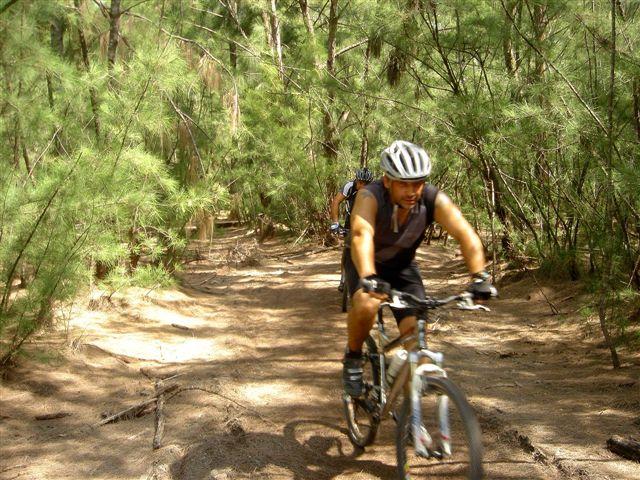 A person biking on a dirt trail surrounded by dense greenery and trees, wearing a helmet and sporty attire. The terrain appears rugged, showcasing an active outdoor cycling experience. Oleta River State Park mountain bike trail.