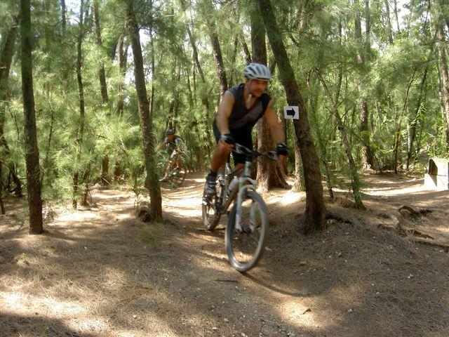 A mountain biker navigates a wooded trail, surrounded by tall trees and underbrush. The cyclist, wearing a helmet and athletic gear, is in motion, displaying a sense of speed and excitement as they ride along the path. A directional sign is visible, indicating the trail direction. Oleta River State Park mountain bike trail.
