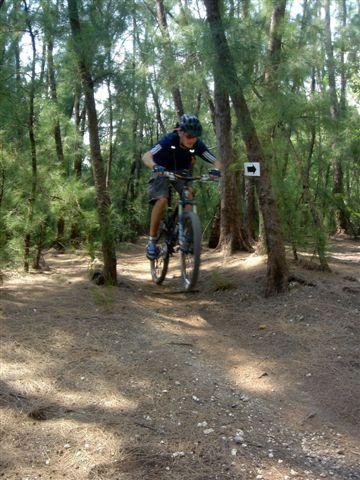 A young boy riding a mountain bike and jumping on a trail in a wooded area, surrounded by trees and pine needles on the ground. A trail marker is visible in the background. Oleta River State Park mountain bike trail.