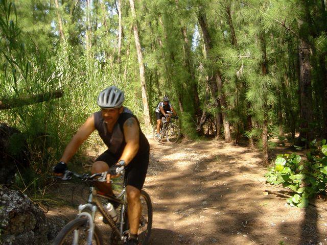 Two cyclists riding mountain bikes along a narrow dirt trail surrounded by tall green trees and underbrush. One cyclist is in the foreground, wearing a helmet and a sleeveless shirt, while the other cyclist is visible further along the trail in the background. Sunlight filters through the trees, creating a scenic outdoor setting. Oleta River State Park mountain bike trail.