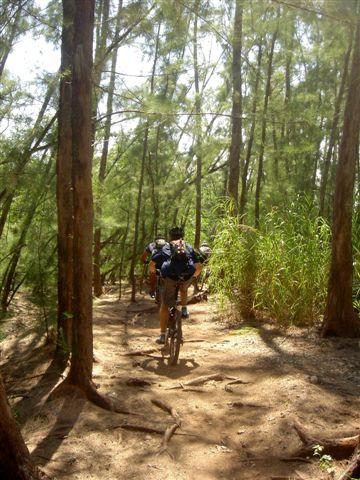 A cyclist riding on a dirt trail through a wooded area, surrounded by tall trees and greenery. The path is slightly uneven with visible roots, creating a natural biking trail. Sunlight filters through the leaves, illuminating the scene. Oleta River State Park mountain bike trail.