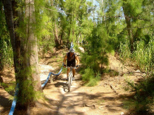 A cyclist navigating a dirt trail surrounded by tall trees and vegetation, wearing a helmet and riding a mountain bike. The path features some blue markers along its winding route. Oleta River State Park mountain bike trail.