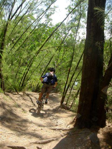 A person riding a mountain bike on a narrow dirt trail surrounded by tall green trees and underbrush. The scene is sunny and conveys a sense of outdoor adventure. Oleta River State Park mountain bike trail.