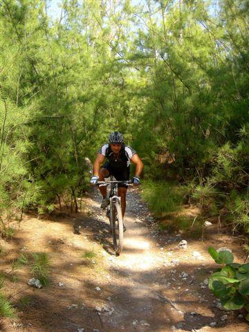 A mountain biker navigating a narrow, tree-lined trail through greenery, with sunlight filtering through the leaves. Oleta River State Park mountain bike trail.