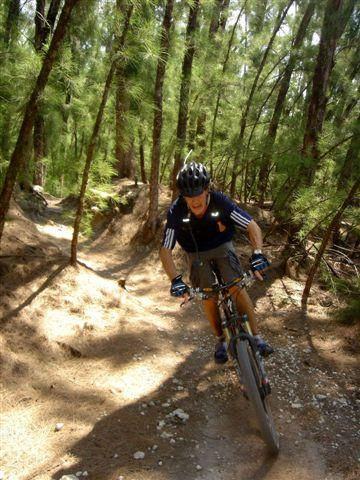 A mountain biker rides on a dirt trail surrounded by tall trees in a forested area. The rider is wearing a helmet and athletic clothing, leaning forward as they navigate the uneven terrain. Sunlight filters through the trees, casting dappled shadows on the ground. Oleta River State Park mountain bike trail.