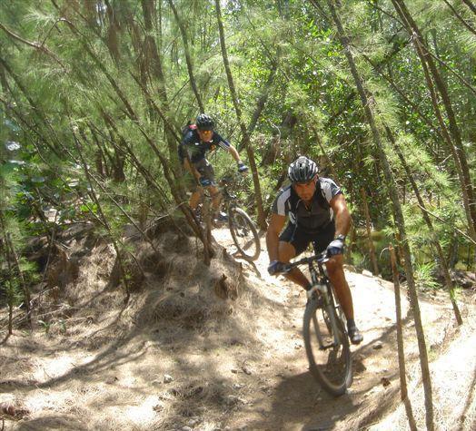 Two mountain bikers navigate a winding dirt trail surrounded by dense greenery in a forested area. The sunlight filters through the trees, creating a vibrant and natural setting. Oleta River State Park mountain bike trail.