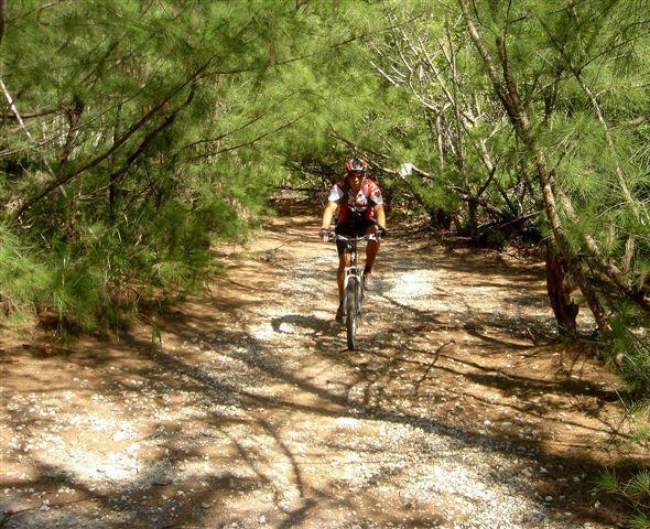 A mountain biker riding along a rocky path surrounded by dense greenery and trees. Oleta River State Park mountain bike trail.