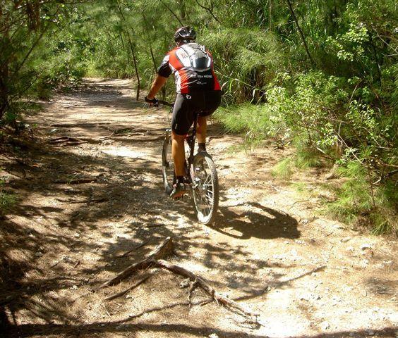 A cyclist riding a mountain bike along a dirt trail surrounded by lush green foliage. The path is partly shaded with scattered branches and soft sunlight illuminating the scene. Oleta River State Park mountain bike trail.