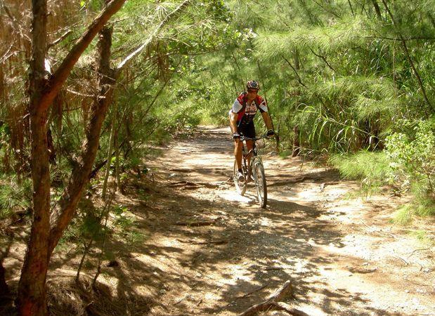 A mountain biker navigating a rocky trail surrounded by dense greenery and trees on a sunny day. Oleta River State Park mountain bike trail.