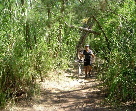 A person in biking gear stands on a narrow dirt path surrounded by tall grass and dense greenery, holding a mountain bike. Sunlight filters through the trees, illuminating the natural surroundings. Oleta River State Park mountain bike trail.