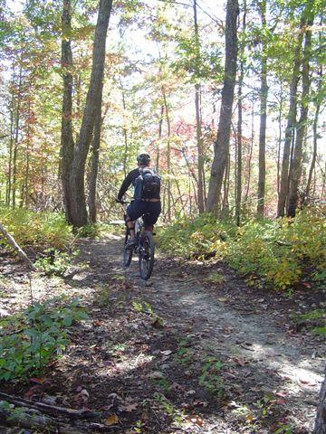 A person riding a mountain bike along a dirt trail in a wooded area, surrounded by trees with autumn foliage. The scene captures the natural beauty of the forest and a sense of adventure. Tanasi Trail System mountain bike trail.