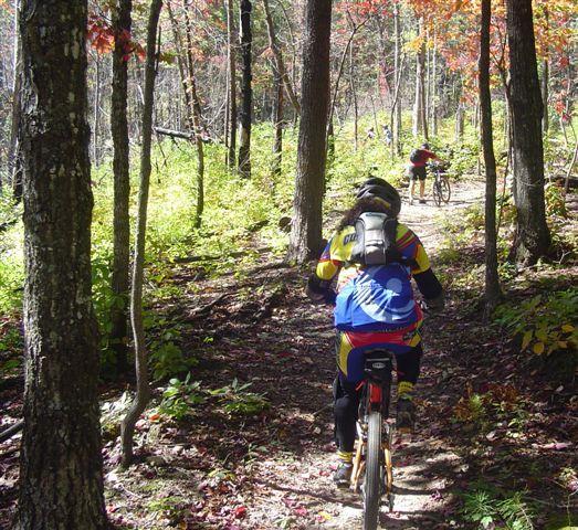 A group of mountain bikers riding along a narrow, wooded trail. The scene features vibrant autumn foliage with red and orange leaves, tall trees lining the path, and a sunny atmosphere. The cyclists wear colorful jerseys and helmets, with one biker in the foreground closely following the trail ahead. Tanasi Trail System mountain bike trail.