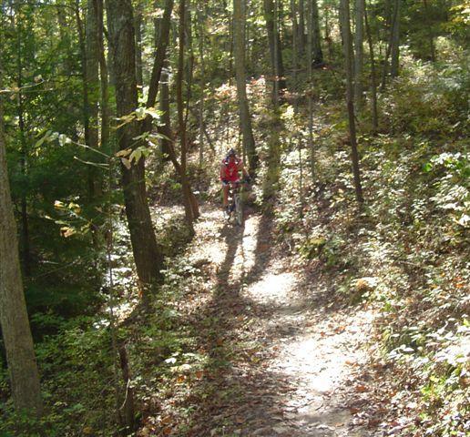 A mountain biker wearing a red jacket rides along a narrow, winding trail in a lush forest, surrounded by tall trees and autumn foliage. Sunlight filters through the leaves, casting dappled shadows on the ground. Tanasi Trail System mountain bike trail.