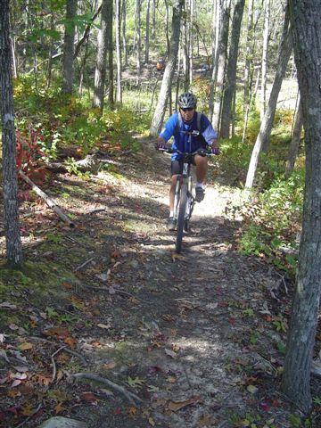 A mountain biker in a blue shirt and black helmet rides along a narrow, dirt trail surrounded by trees and greenery. The forest setting features autumn leaves on the ground, indicating a seasonal change. Chilhowee trail system mountain bike trail.
