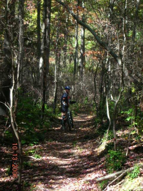 A mountain biker standing on a narrow dirt trail surrounded by tall trees and dense underbrush, with autumn foliage in the background. The scene is illuminated by sunlight filtering through the trees, creating a vibrant and serene atmosphere. Tanasi Trail System mountain bike trail.