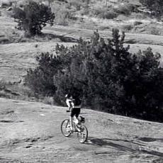 A person riding a mountain bike on a rocky trail with shrubs and trees in the background, captured in black and white. Slickrock mountain bike trail.