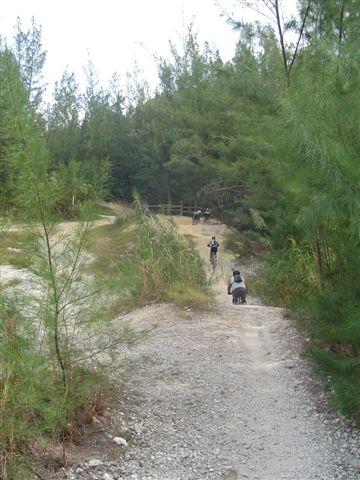 A dirt path winding through a forested area, with tall green trees lining the sides. In the distance, two people can be seen navigating the trail, one riding down a slope and another standing. The scene captures the natural surroundings and the adventure of outdoor activities. Oleta River State Park mountain bike trail.