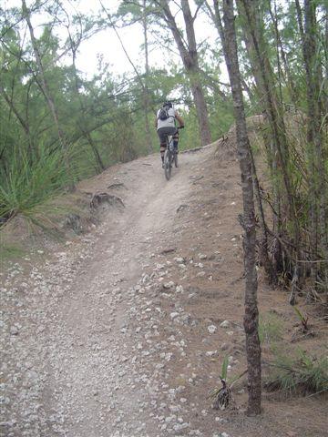 A cyclist riding up a dirt trail surrounded by trees, with uneven terrain and a mix of gravel and soil. Oleta River State Park mountain bike trail.