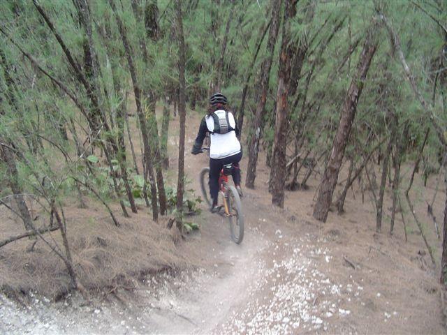 A person riding a mountain bike on a narrow trail through a dense forest of tall trees. The trail is rough with some white gravel, and the cyclist is wearing a helmet and a backpack. Oleta River State Park mountain bike trail.
