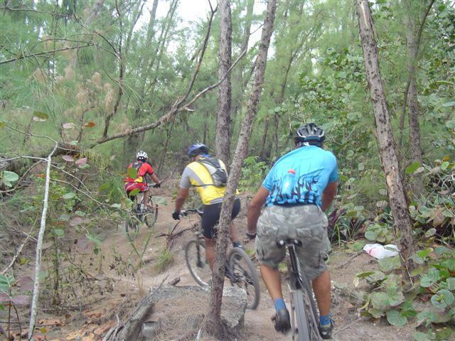 Three mountain bikers navigating a narrow dirt trail through a dense forest with green foliage and trees. Oleta River State Park mountain bike trail.