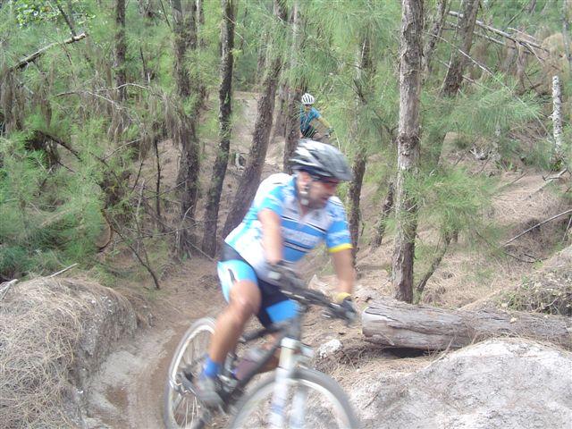 A mountain biker wearing a blue and white cycling jersey rides along a forest trail, with trees and greenery in the background. Another cyclist is visible in the distance, partially obscured by the trees. The image captures the motion of the rider, emphasizing the outdoor biking experience. Oleta River State Park mountain bike trail.