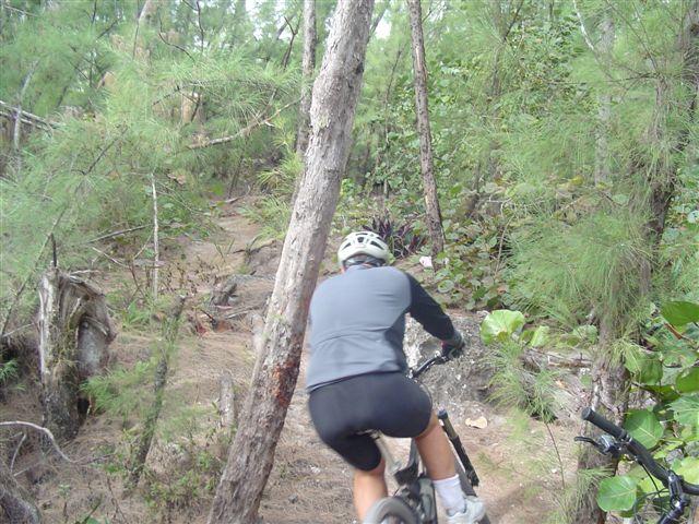 A cyclist navigating a narrow trail through a lush, green forest, surrounded by trees and underbrush. The cyclist is wearing a helmet and athletic clothing, with their back to the camera, as they maneuver around natural obstacles on the path. Oleta River State Park mountain bike trail.
