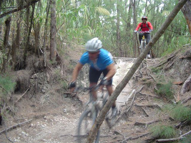 Two mountain bikers navigating a forest trail. The rider in the foreground is in motion, wearing a blue shirt and a helmet, while the second rider, dressed in red, is positioned further back on the trail, maintaining a steady pace. The surrounding environment features dense greenery and uneven terrain, typical of a natural trail. Oleta River State Park mountain bike trail.