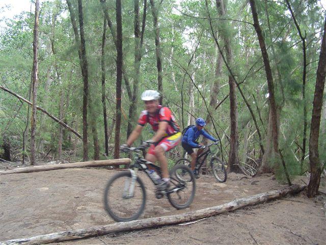 Two mountain bikers navigating a rocky trail through a dense forest. The first rider, wearing a red and yellow jersey with a white helmet, is in motion, while the second rider, dressed in blue, follows closely behind. The scene captures the natural surroundings with tall trees and fallen logs. Oleta River State Park mountain bike trail.