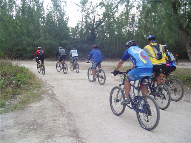 A group of six mountain bikers riding along a dirt path surrounded by trees, heading away from the camera. The riders are wearing helmets and colorful jerseys, and the scene captures the natural beauty of their cycling environment. Oleta River State Park mountain bike trail.
