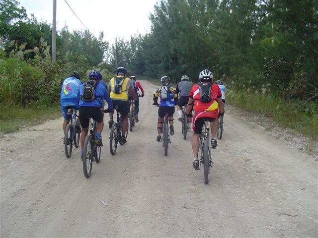 A group of eight mountain bikers riding on a gravel path surrounded by greenery. The cyclists are seen from behind, wearing colorful jerseys and helmets, as they navigate the trail that ascends slightly through a forested area. Oleta River State Park mountain bike trail.