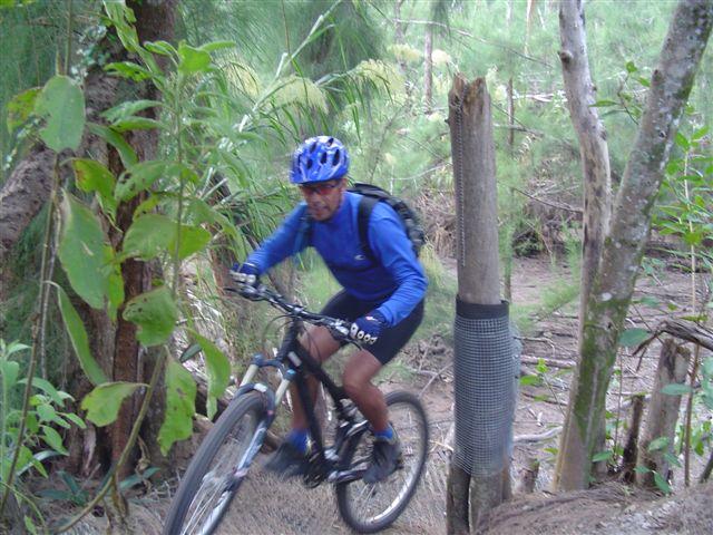 A person wearing a blue helmet and clothing rides a mountain bike along a dirt trail surrounded by vegetation. The rider is navigating a slight incline, with trees and plants visible in the background. Oleta River State Park mountain bike trail.