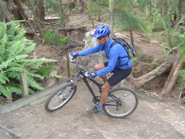 A person in a blue cycling helmet and long-sleeved blue shirt is navigating a mountain bike down a dirt trail surrounded by green ferns and trees. The cyclist is leaning slightly forward, indicating movement over the uneven terrain. Oleta River State Park mountain bike trail.