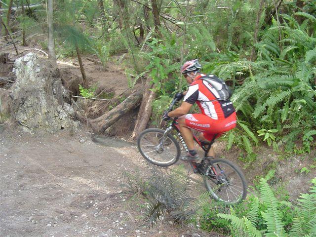 A mountain biker in a red and black jersey rides a bicycle along a dirt trail in a lush green forest. The pathway is surrounded by ferns and trees, and the cyclist is navigating around a fallen log. Oleta River State Park mountain bike trail.
