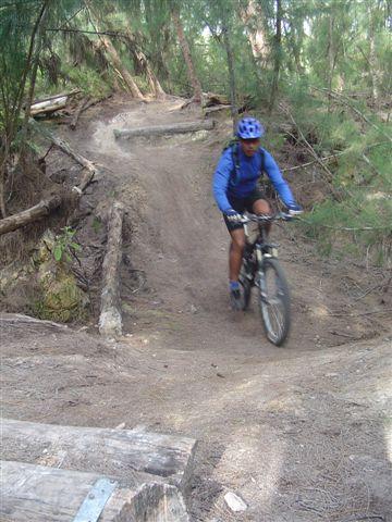 A mountain biker in a blue helmet and shirt navigates a dirt trail with trees and wooden obstacles on either side. The cyclist is riding downhill on a winding path. Oleta River State Park mountain bike trail.