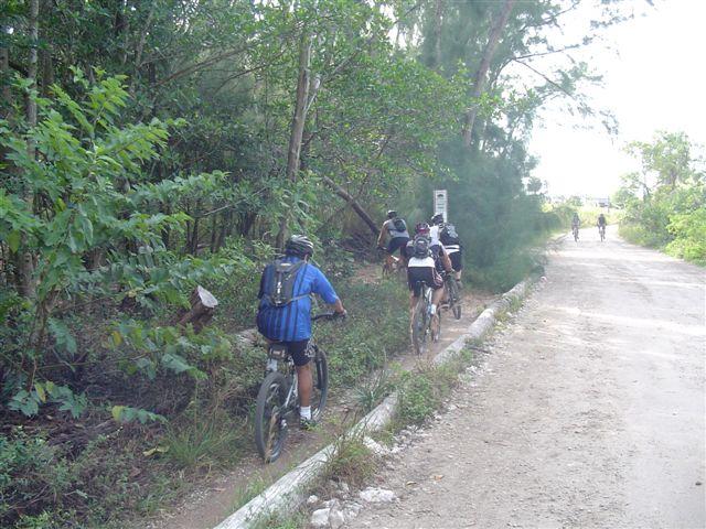 A group of mountain bikers riding on a narrow dirt trail surrounded by lush greenery, with more cyclists visible in the distance. Oleta River State Park mountain bike trail.