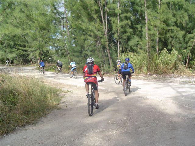A group of eight cyclists riding on a dirt path surrounded by tall green trees. The cyclists are seen from behind, navigating a fork in the trail under a clear sky. Some wear colorful athletic wear, while others are dressed in more neutral colors. Oleta River State Park mountain bike trail.