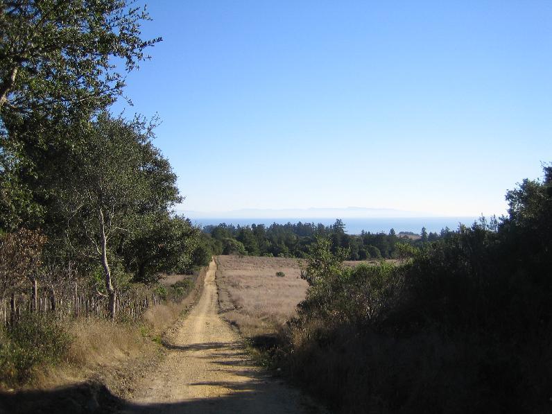 A narrow dirt road winding through a grassy landscape, flanked by trees on both sides, with a clear blue sky above and distant hills visible in the background. The view opens up toward the horizon, revealing the ocean in the distance. Wilder Ranch State Park mountain bike trail.