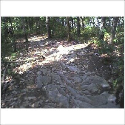 Rocky hiking trail surrounded by trees, with sunlight filtering through the foliage. The path is uneven, featuring exposed rocks and scattered leaves. Haw Ridge Park mountain bike trail.