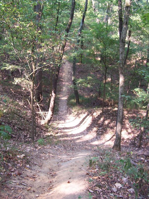 A winding dirt trail leads down through a forest, flanked by tall trees and patches of greenery. The path is surrounded by fallen leaves, indicating autumn. Sunlight filters through the tree canopy, creating dappled light on the trail. Scales Lake Park Trails mountain bike trail.