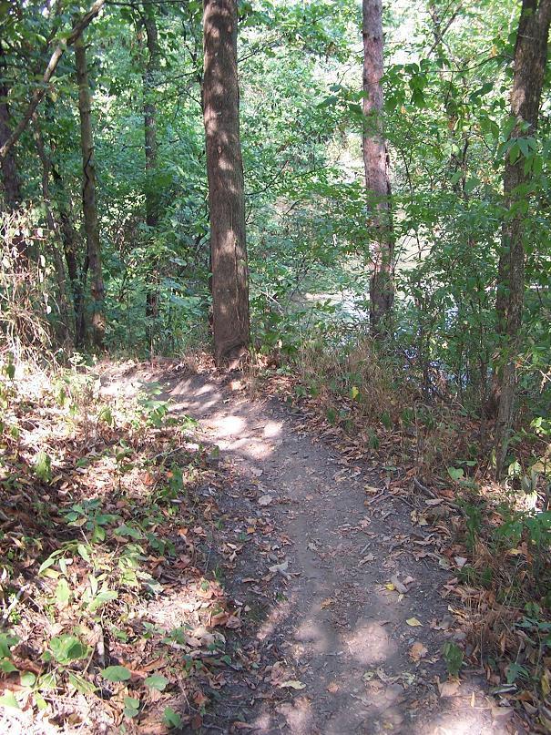 A dirt path winding through a lush forest with green foliage and trees, leading toward a body of water visible in the background. Sunlight filters through the leaves, creating a dappled effect on the ground covered with fallen leaves. Scales Lake Park Trails mountain bike trail.