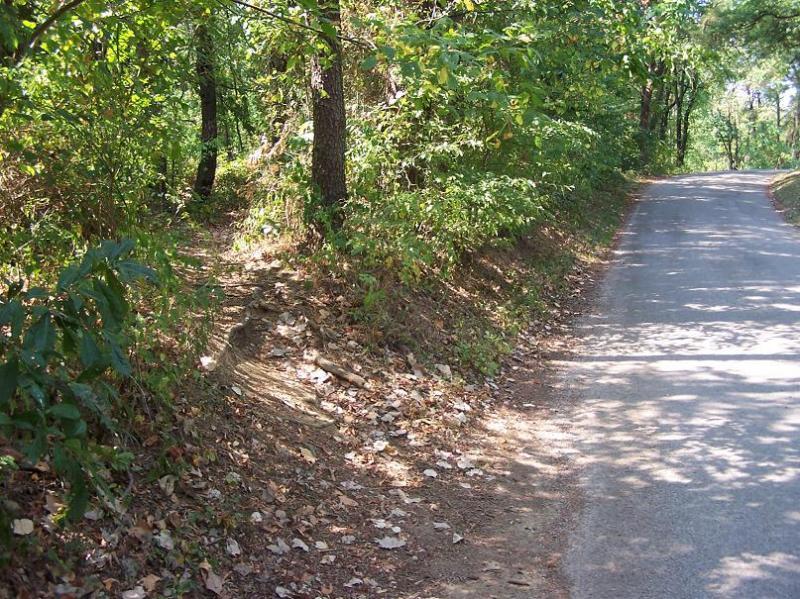 A winding road bordered by dense green foliage and trees, with a dirt path leading into the woods on the left side. The ground is covered with fallen leaves, and sunlight filters through the leaves, creating a dappled pattern on the road. Scales Lake Park Trails mountain bike trail.