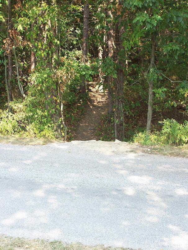 A dirt path leading into a lush, green forest framed by trees, viewed from a gravel road. Sunlight filters through the foliage, casting soft shadows on the ground. Scales Lake Park Trails mountain bike trail.