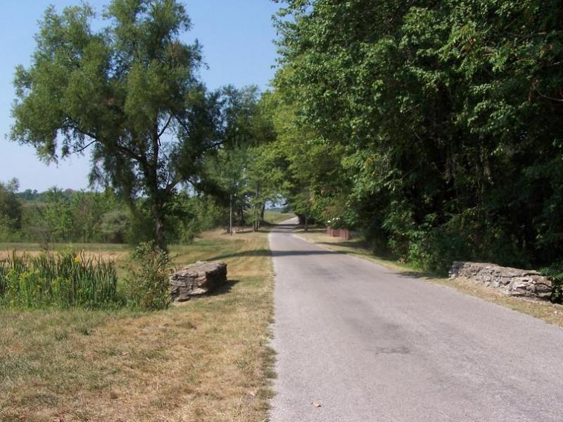 A tranquil rural road stretching into the distance, bordered by lush greenery and trees on either side. On the left, a patch of grass with tall plants and a stone wall adds to the scenic view. The clear blue sky overhead enhances the peaceful atmosphere. Scales Lake Park Trails mountain bike trail.