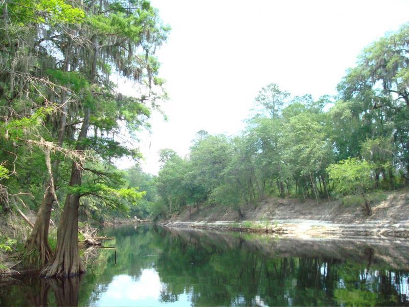 A serene river scene with tall trees lining the banks, reflecting in the calm water. The background features a clear sky and lush greenery, creating a peaceful natural landscape. Bridge to Bridge mountain bike trail.