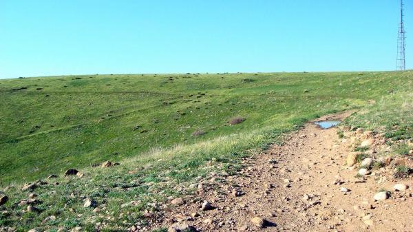 A grassy hillside under a clear blue sky, featuring a dirt path winding through the landscape. Small rocks are scattered along the path, and a puddle of water is visible on the side of the trail. In the distance, a tall communication tower is seen on the horizon. Green Mountain mountain bike trail.